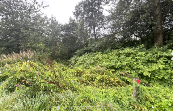 Development Opportunity in Shotts photo